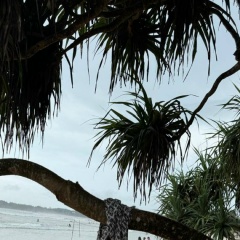 Ильнур Исхаков, 30.12, Санкт-Петербург