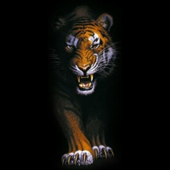 Tolegen Jumagazyev, 16.02, Семей