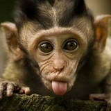 Александр Фиров, 20.06.1985, Москва