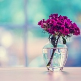 Варюша Серебрякова, 26.02, Гродно