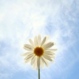 Екатерина С