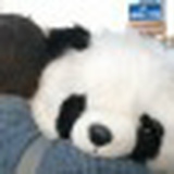 Григорий Чикишев, 02.12.1988, Санкт-Петербург