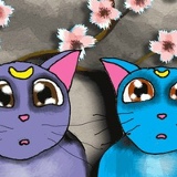 Татьяна Сотникова, 03.05, Днепр (Днепропетровск)