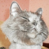 Дамир Ахтямов, 12.08, Москва