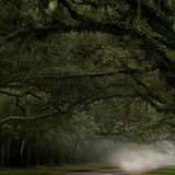 Александра Йовенко(Цветкова), 14.02.1984, Киев