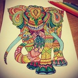 Aigul Khojabayeva, 28.05.1986, Шымкент