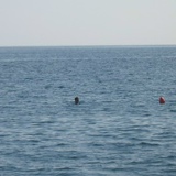 Pyotr Telyuk, 12.07.1987