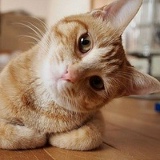 Дмитрий Пименов, 09.06, Москва