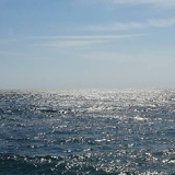 Юрий Головизнин, 07.09.1989, Москва