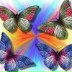 Irina Timershina, 04.10, New York City