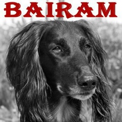 Ксения Рута, Санкт-Петербург