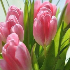 Гулайна Адырбекова