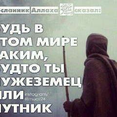 Магомедкамил Казанбиев, 17.11.2006