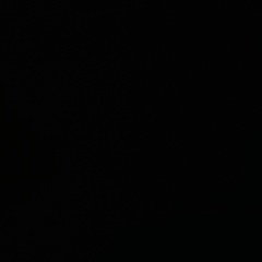 Паша Быстренков, Гомель