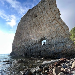 Максим Колесников