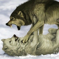 Семен Дерябин, 30.10, Екатеринбург