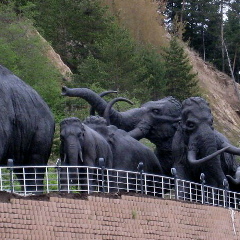 Хмао Югра, 20.04.1990, Ханты-Мансийск
