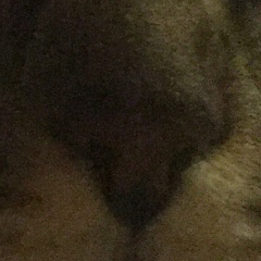 Дмитрий Мицевич, 01.08, Москва