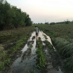 Никола Винокуров, Якутск