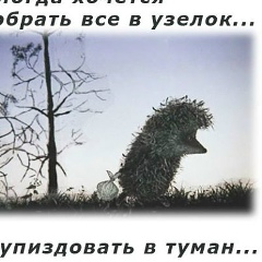 Алексей Романов, 15.04, Санкт-Петербург