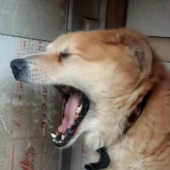 Данила Стрельцов, 13.12.2005