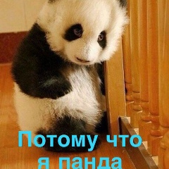 Ирина Котова, Санкт-Петербург