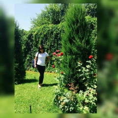 Гульназ Алимбекова, 26.12, Арысь