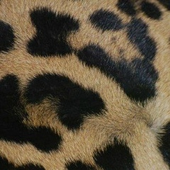 Наима Саидова, 02.08.1989