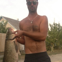 Рома Король, 17.03, Полонное