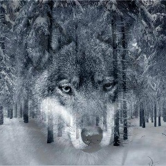 Антон Коленцев, 29.09, Санкт-Петербург