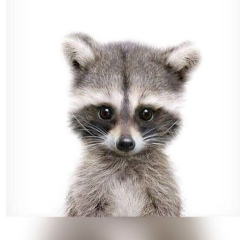 Аруна Жакипова, 09.12, Астана