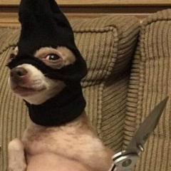 Aman Rogoznyi, 30.09, Siĕmréab