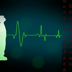 Равиль Абдурахманов, 01.02.1995, Махачкала