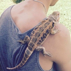 Krzysztof Góra, 15.05.1994, Nowy Sącz