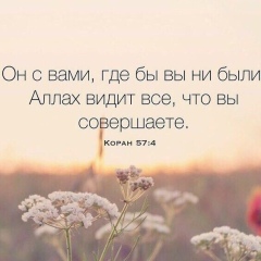 Нурик Махамбетов, 22.06