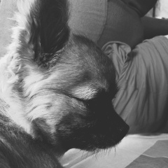 Павел Колпаков, 16.02.1983, Москва