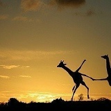 Лилия Нуртаева, 16.12.1961, Алматы