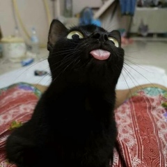 Ааааа Ааааап, 28.09, Москва