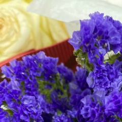 Полиночка Бабаева, 03.09, Санкт-Петербург