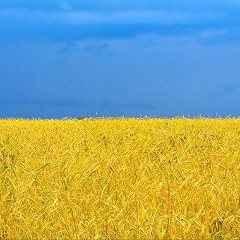 Алёна Голякова, Киев
