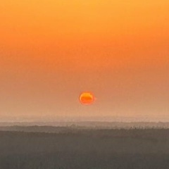 Роберт Азарян, Ереван