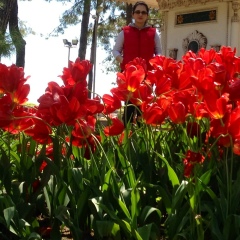 Lalita Margvelashvili