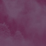 Уренгойские Новости, 01.04, Новый Уренгой