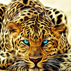 Тимур Маклакова, Москва