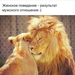 Амалия Маирова, Махачкала