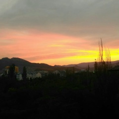 Ольга Зеброва, Москва