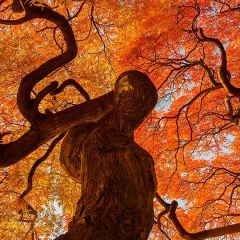 Надежда Гайдукова, 18.09.1982, Череповец