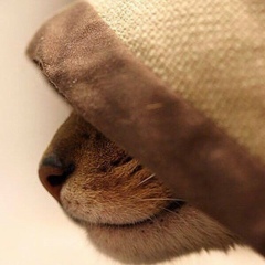 Бектуар Кожабеков, 01.08