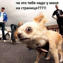 Владимир Владимиров, 16.11, Москва