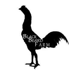 Blackbeard Farm, 16.04.1988